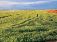 Balat Ovası Nerede?